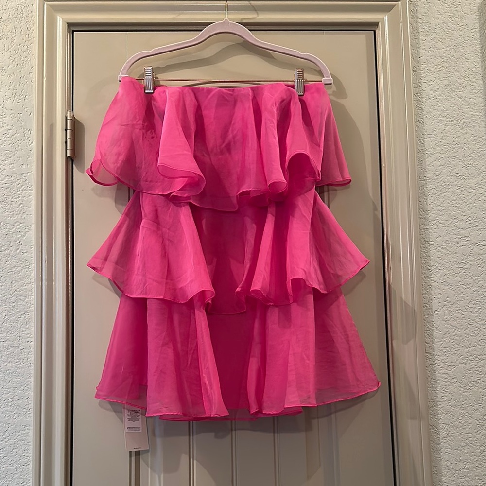 NWT Ruffle Mini Dress